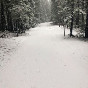 Meet your Posher, Alice